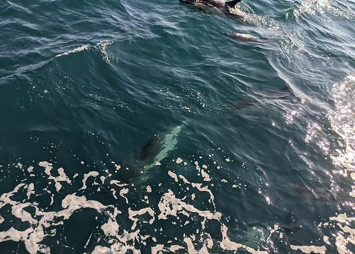 Casa Mikali Alfeizerao